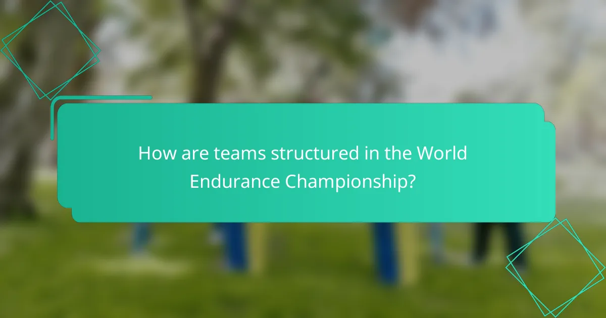 How are teams structured in the World Endurance Championship?