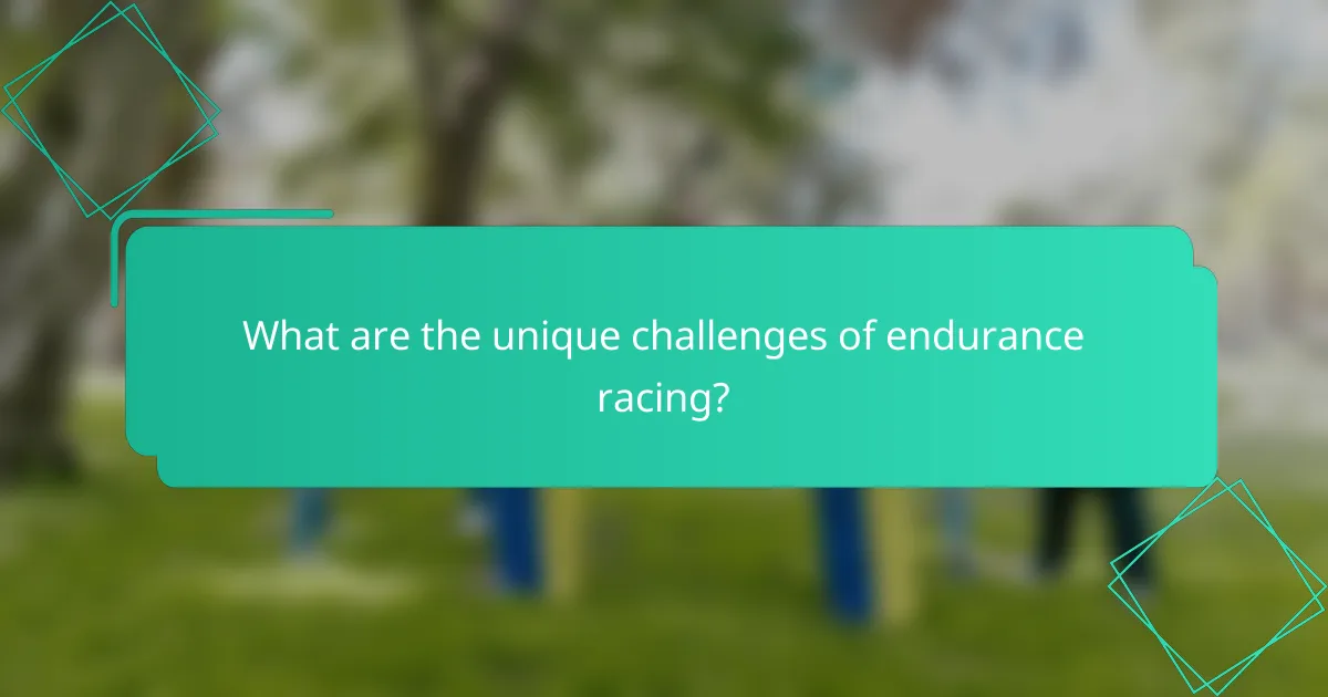 What are the unique challenges of endurance racing?